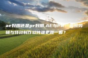 ae好用还是pr好用,AE与PR：视频剪辑与特效制作软件谁更胜一筹？ | ae插件合集
