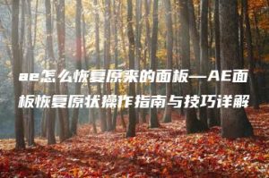 ae怎么恢复原来的面板—AE面板恢复原状操作指南与技巧详解 | ae插件合集