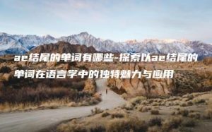 ae结尾的单词有哪些-探索以ae结尾的单词在语言学中的独特魅力与应用 | ae插件合集