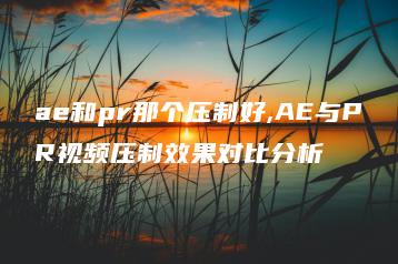 ae和pr那个压制好,AE与PR视频压制效果对比分析 | ae插件合集