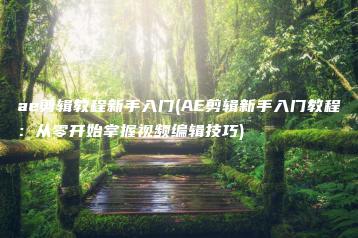 ae剪辑教程新手入门(AE剪辑新手入门教程：从零开始掌握视频编辑技巧) | ae插件合集