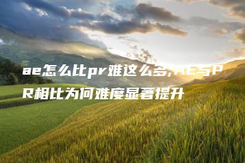 ae怎么比pr难这么多;AE与PR相比为何难度显著提升 | ae插件合集
