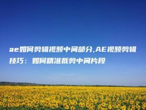 ae如何剪辑视频中间部分,AE视频剪辑技巧：如何精准裁剪中间片段 | ae插件合集