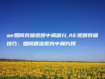 ae如何剪辑视频中间部分,AE视频剪辑技巧：如何精准裁剪中间片段 | ae插件合集