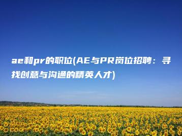 ae和pr的职位(AE与PR岗位招聘：寻找创意与沟通的精英人才) | ae插件合集