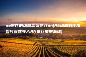 ae制作的动画怎么导入an(AE动画制作后如何高效导入AN进行后期处理) | ae插件合集