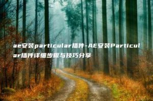 ae安装particular插件-AE安装Particular插件详细步骤与技巧分享 | ae插件合集