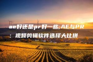 ae好还是pr好一些;AE与PR：视频剪辑软件选择大比拼 | ae插件合集