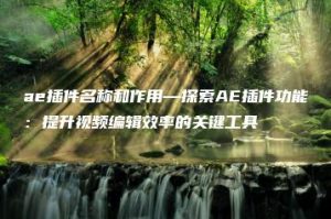 ae插件名称和作用—探索AE插件功能：提升视频编辑效率的关键工具 | ae插件合集