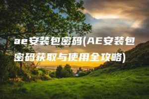 ae安装包密码(AE安装包密码获取与使用全攻略) | ae插件合集