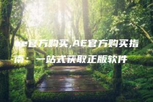 ae官方购买,AE官方购买指南：一站式获取正版软件 | ae插件合集