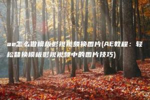 ae怎么做模板影视视频换图片(AE教程：轻松替换模板影视视频中的图片技巧) | ae插件合集