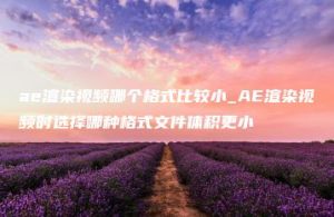 ae渲染视频哪个格式比较小_AE渲染视频时选择哪种格式文件体积更小 | ae插件合集