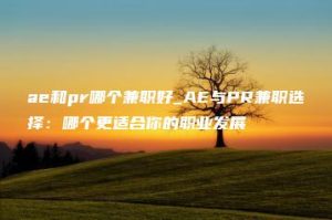 ae和pr哪个兼职好_AE与PR兼职选择：哪个更适合你的职业发展 | ae插件合集