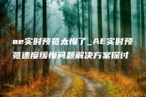 ae实时预览太慢了_AE实时预览速度缓慢问题解决方案探讨 | ae插件合集