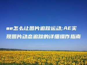 ae怎么让图片追踪运动;AE实现图片动态追踪的详细操作指南 | ae插件合集