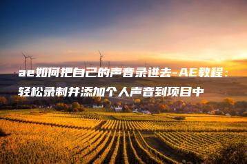 ae如何把自己的声音录进去-AE教程：轻松录制并添加个人声音到项目中 | ae插件合集