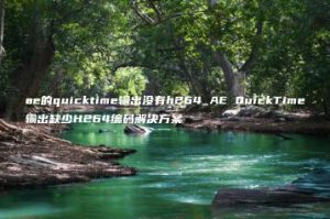 ae的quicktime输出没有h264_AE QuickTime输出缺少H264编码解决方案 | ae插件合集