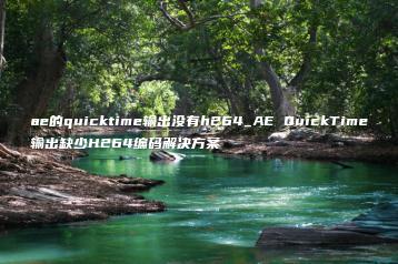 ae的quicktime输出没有h264_AE QuickTime输出缺少H264编码解决方案 | ae插件合集