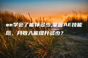 ae学会了能挣多少,掌握AE技能后，月收入能提升多少？ | ae插件合集