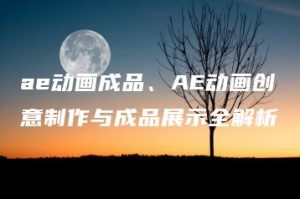 ae动画成品、AE动画创意制作与成品展示全解析 | ae插件合集