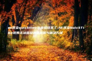 ae渲染quicktime出来播放不了;AE渲染QuickTime视频无法播放问题解析与解决方案 | ae插件合集