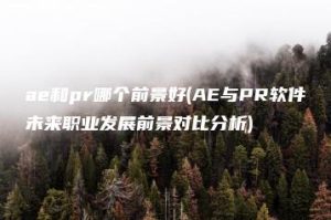 ae和pr哪个前景好(AE与PR软件未来职业发展前景对比分析) | ae插件合集