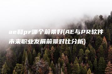ae和pr哪个前景好(AE与PR软件未来职业发展前景对比分析) | ae插件合集