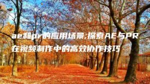 ae和pr的应用场景;探索AE与PR在视频制作中的高效协作技巧 | ae插件合集