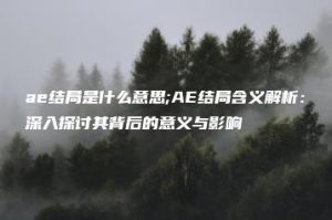 ae结局是什么意思;AE结局含义解析：深入探讨其背后的意义与影响 | ae插件合集