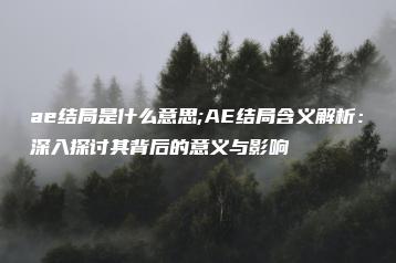 ae结局是什么意思;AE结局含义解析：深入探讨其背后的意义与影响 | ae插件合集