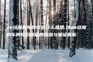 ae结尾的车牌代表什么意思,以ae结尾的车牌背后隐藏的深意与象征解析 | ae插件合集