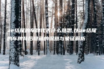 ae结尾的车牌代表什么意思,以ae结尾的车牌背后隐藏的深意与象征解析 | ae插件合集