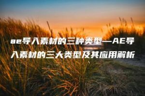 ae导入素材的三种类型—AE导入素材的三大类型及其应用解析 | ae插件合集