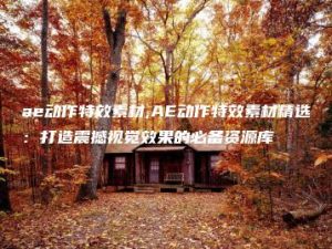 ae动作特效素材,AE动作特效素材精选：打造震撼视觉效果的必备资源库 | ae插件合集