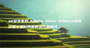 ae安装失败,Adobe After Effects安装过程中遇到问题解决方案探讨 | ae插件合集