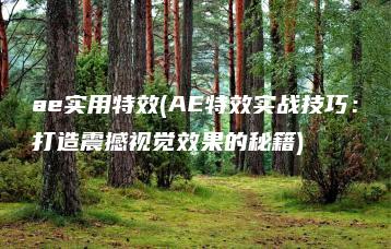 ae实用特效(AE特效实战技巧：打造震撼视觉效果的秘籍) | ae插件合集