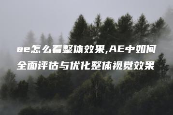 ae怎么看整体效果,AE中如何全面评估与优化整体视觉效果 | ae插件合集