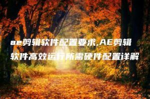 ae剪辑软件配置要求,AE剪辑软件高效运行所需硬件配置详解 | ae插件合集