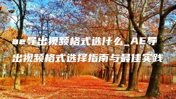 ae导出视频格式选什么_AE导出视频格式选择指南与最佳实践 | ae插件合集