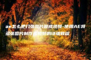 ae怎么把几张图片做成视频-使用AE将多张图片制作成视频的详细教程 | ae插件合集