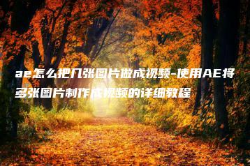 ae怎么把几张图片做成视频-使用AE将多张图片制作成视频的详细教程 | ae插件合集