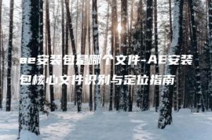 ae安装包是哪个文件-AE安装包核心文件识别与定位指南 | ae插件合集