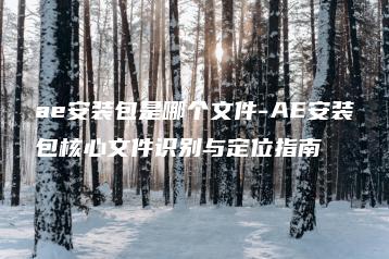 ae安装包是哪个文件-AE安装包核心文件识别与定位指南 | ae插件合集