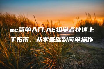 ae简单入门,AE初学者快速上手指南：从零基础到简单操作 | ae插件合集