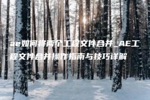 ae如何将两个工程文件合并_AE工程文件合并操作指南与技巧详解 | ae插件合集
