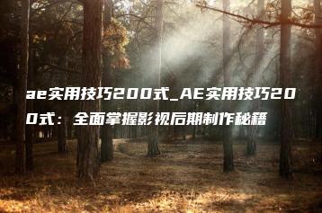 ae实用技巧200式_AE实用技巧200式：全面掌握影视后期制作秘籍 | ae插件合集