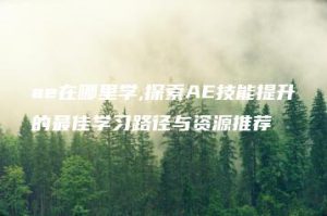 ae在哪里学,探索AE技能提升的最佳学习路径与资源推荐 | ae插件合集
