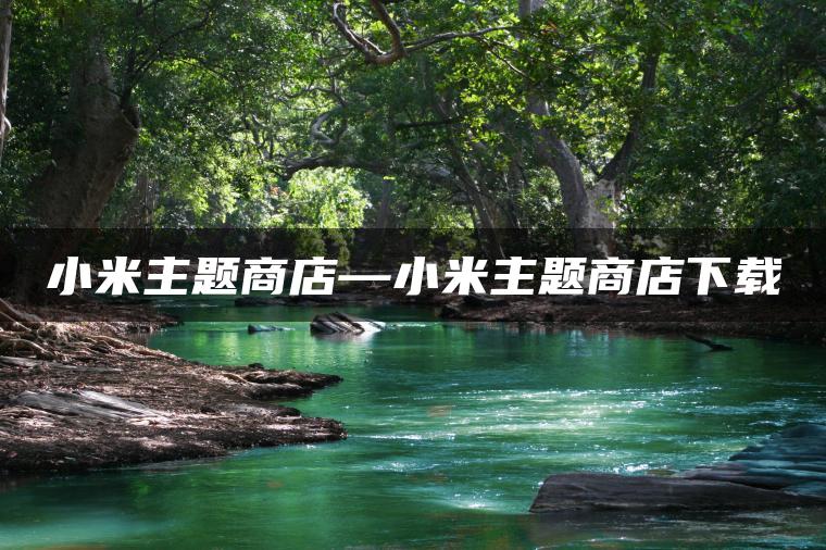 小米主题商店—小米主题商店下载