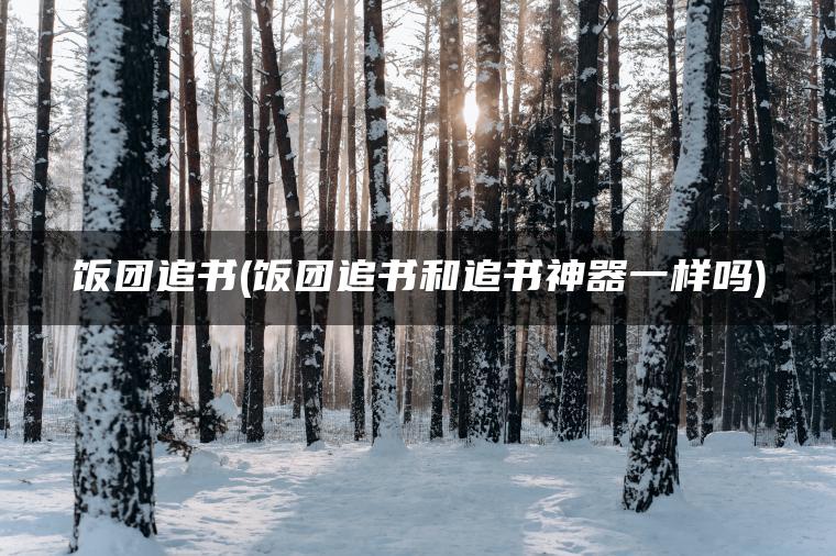 图片[1] | 饭团追书(饭团追书和追书神器一样吗) | ae插件合集